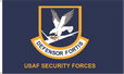 Customized USAF Security Forces, Defensor Fortis Flags