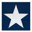 30' x 50' Nylon Texas Flag