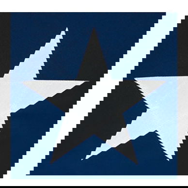 30' x 50' Nylon Texas Flag