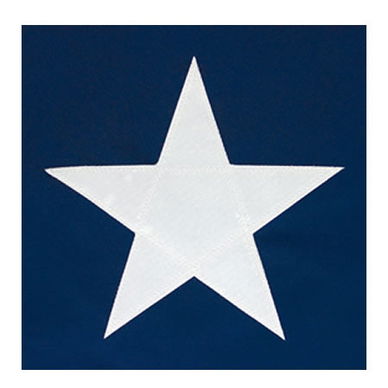 30' x 60' Nylon Texas Flag