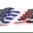 Government Specified U.S. Flags