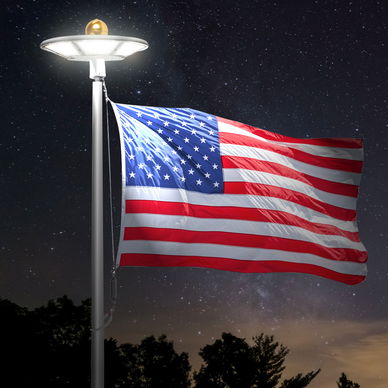 Solar Disc Flag Light - 266 LEDs