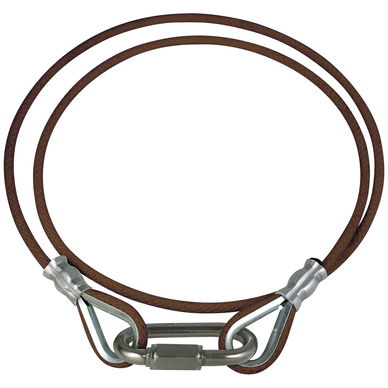 Roped Flagpole Retainer Rings