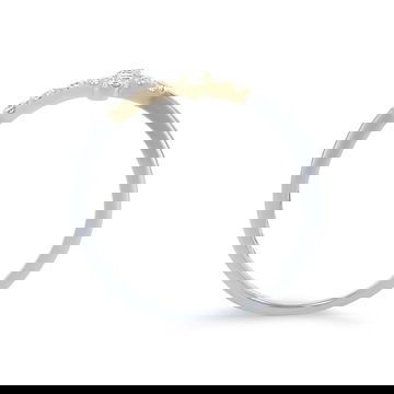 BLDSM04445_1