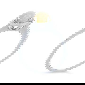 RNGSP01180-U