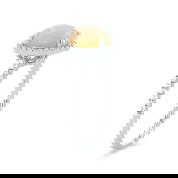 RNGSP01180-A