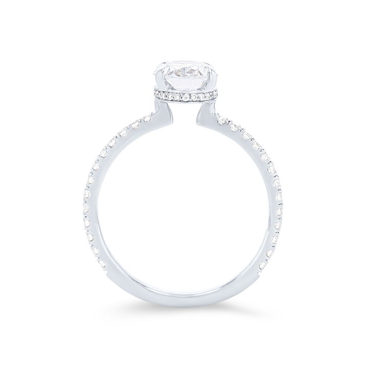 White Gold 18K Michael M. Crown Hidden Halo Open Engagement Setting