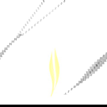 NFANC16282