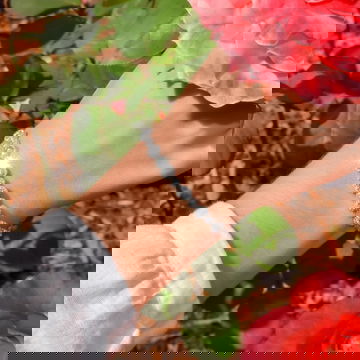 GBANG01774-LIFESTYLE