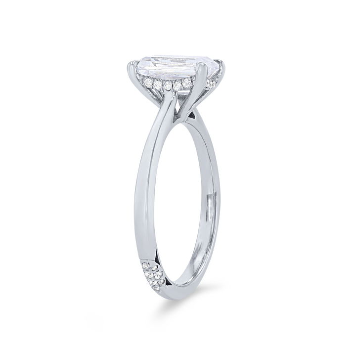 Tacori Founder's Hidden Halo Solitaire Engagement Setting In Platinum