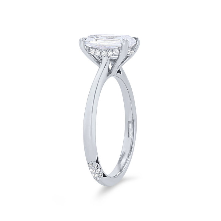 Tacori Founder's Hidden Halo Solitaire Engagement Setting In Platinum
