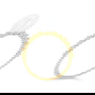 WEBPL00070-U