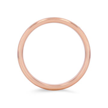 Classic Matte 5.5mm Wedding Band In White Gold 14K