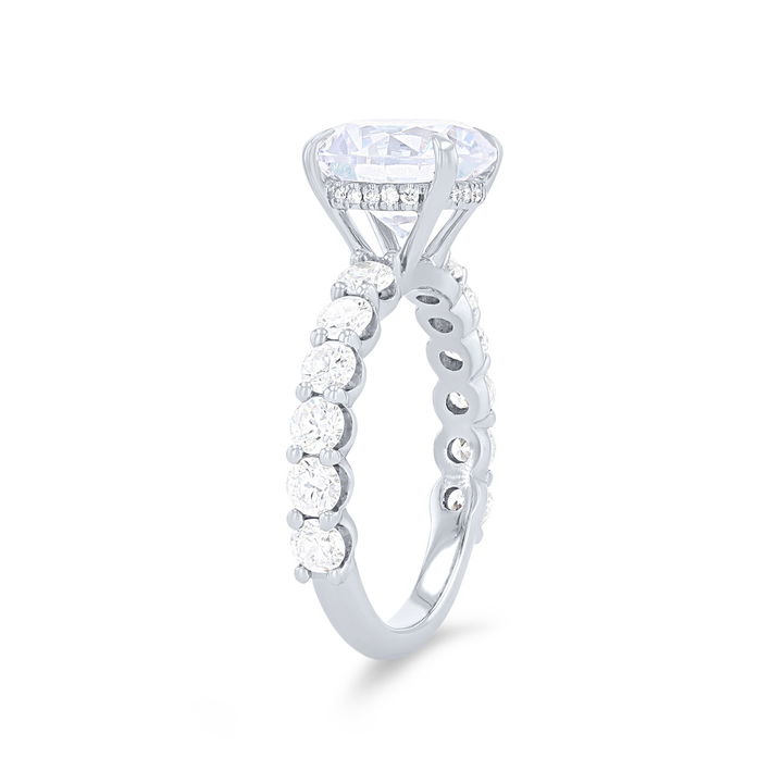 White Gold 18K Michael M. Crown Hidden Halo Luxe Engagement Setting
