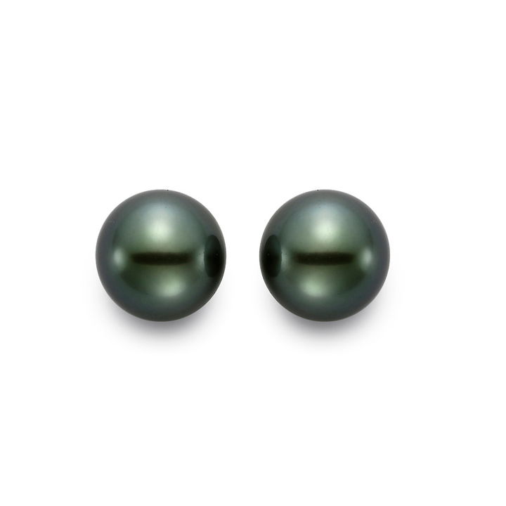 Tahitian Pearl Stud Earrings