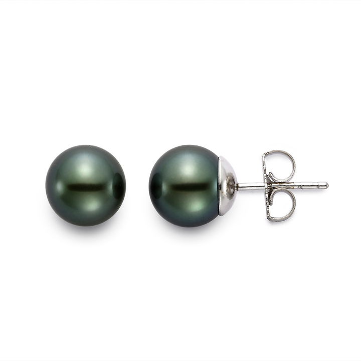 Tahitian Pearl Stud Earrings