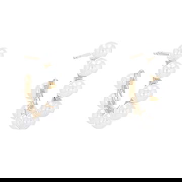 PRLFE00688