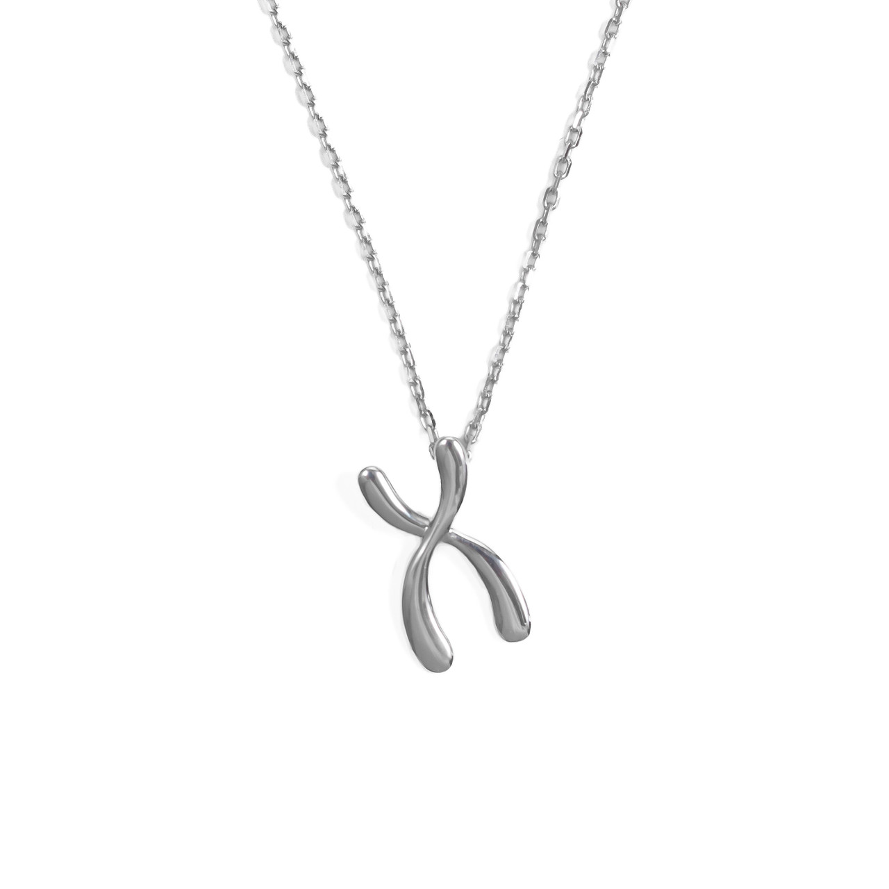 Sterling Silver Mini Chromosome Necklace 0