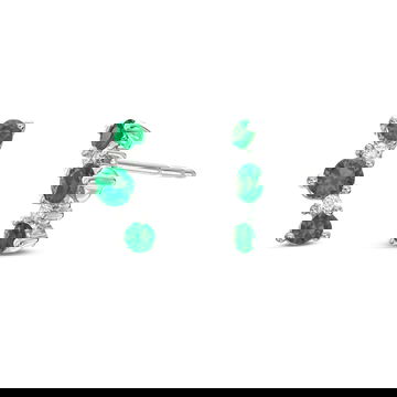 ECLST09562