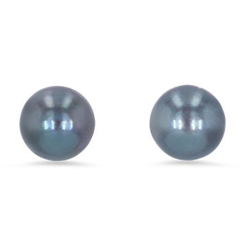 Black Freshwater Pearl Studs In White Gold 14K