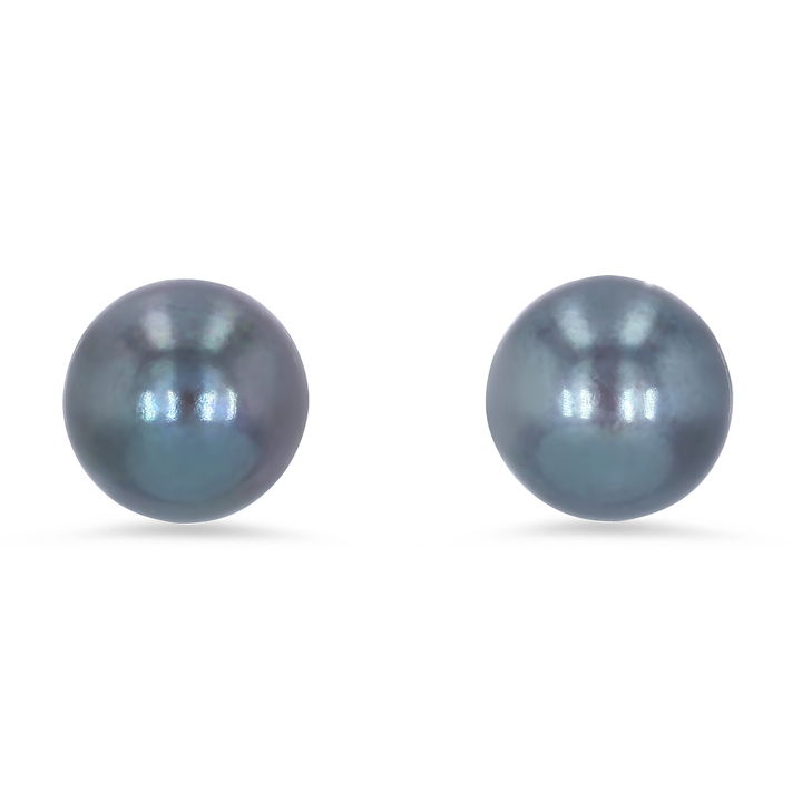 Black Freshwater Pearl Studs In White Gold 14K