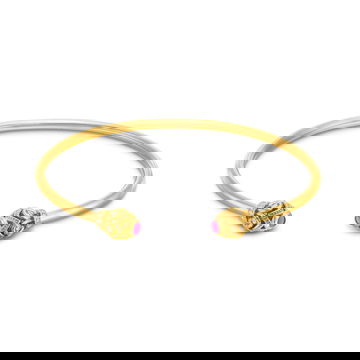 GBANG05800