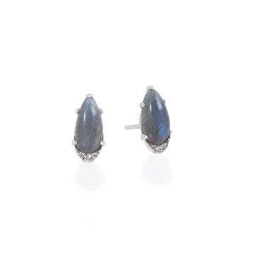TACSS00813