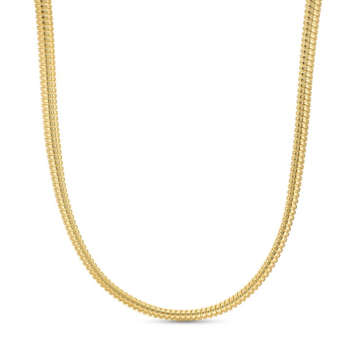 Snake Chain Necklace
