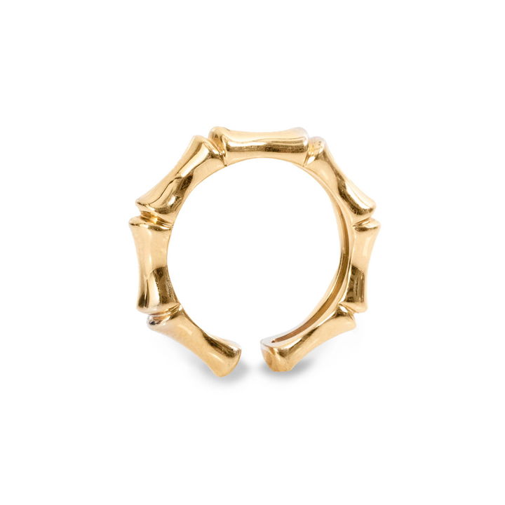 Wide Bamboo Band