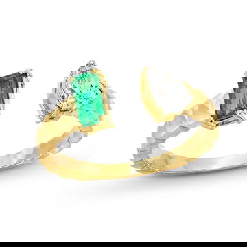 BDEMD01556_1