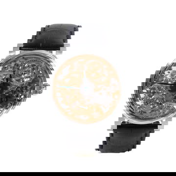 Schaumburg Art 15G Skeleton Dial Watch | Stainless Steel 0