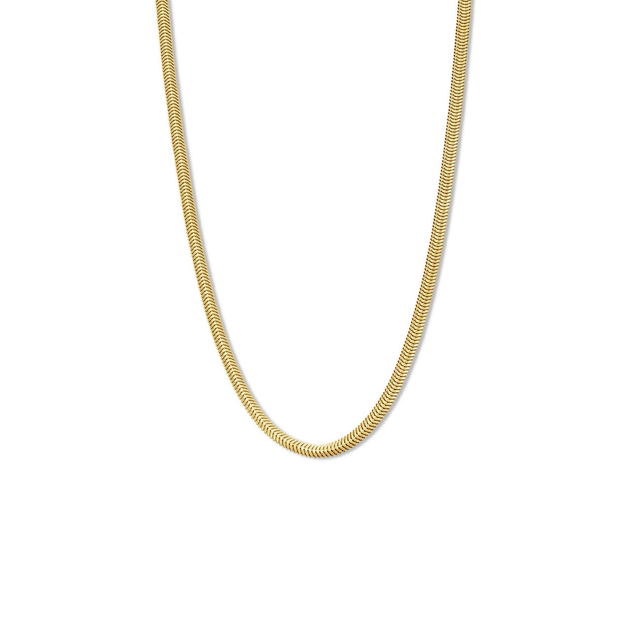 Gold Snake Chain Necklace