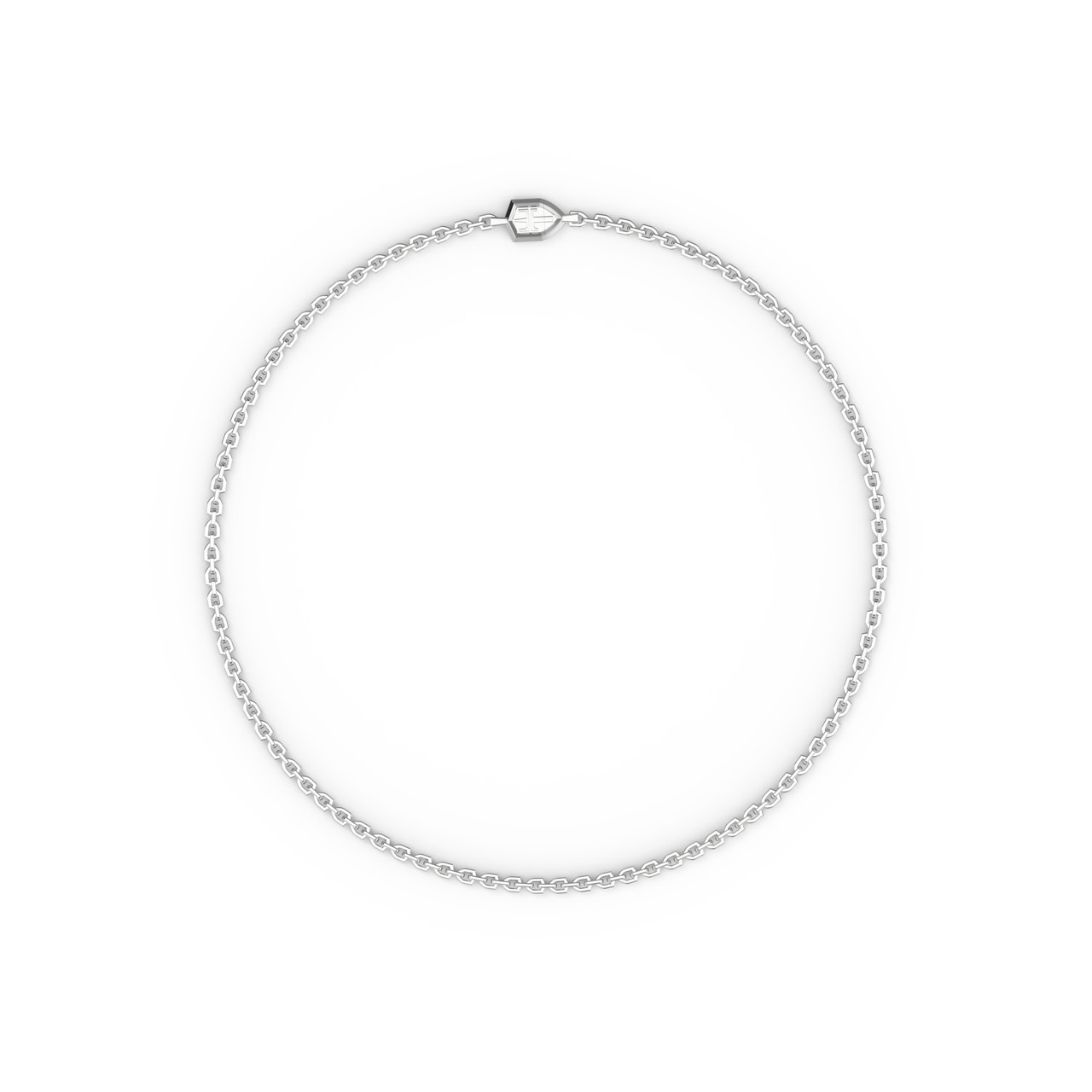 Silver Shield Clasp Link Chain Necklace 3