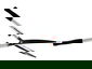 Shears