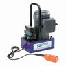 Williams 1Hp Electric Pump with Solenoid Valve - 2 Gallon 3W-3P - 5ES10H2G