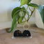 Abide Earrings—Golden Black
