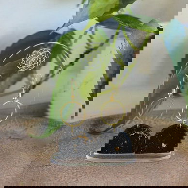 Abide Earrings—Golden Black