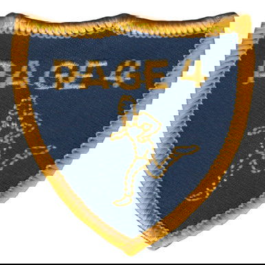 Page 4 Physical Fitness Patch