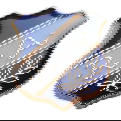 Squire 5 Advancement Pin