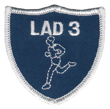 Lad 3 Physical Fitness Patch