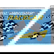 RA Race Car Patch