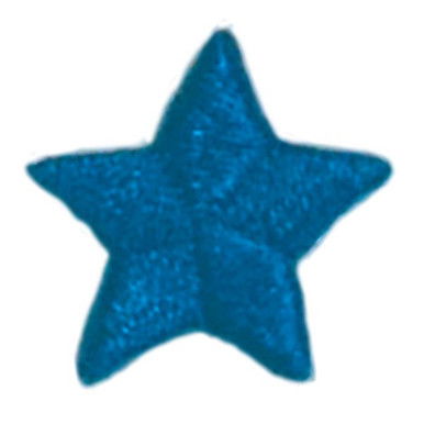 4th Grade Blue Star