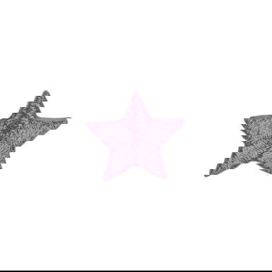 6th Grade Purple Star