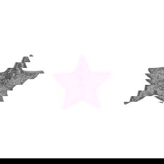 6th Grade Purple Star