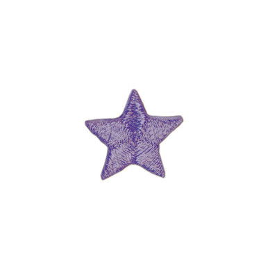 6th Grade Purple Star