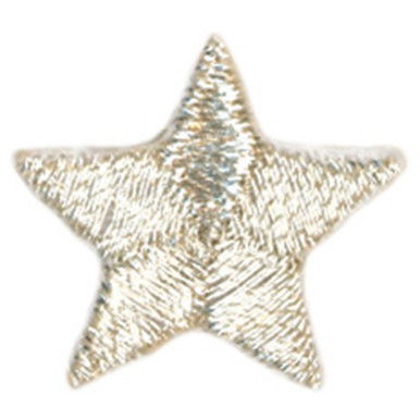 Scripture Memory Star — Silver (pkg. of 10)