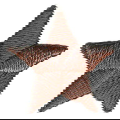 1st Grade Brown Star