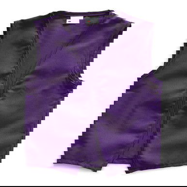 GA Vest Purple Adult 3XL