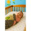 Baby Blanket