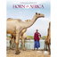 International Mission Study: Horn of Africa International Mission Study: Horn of Africa